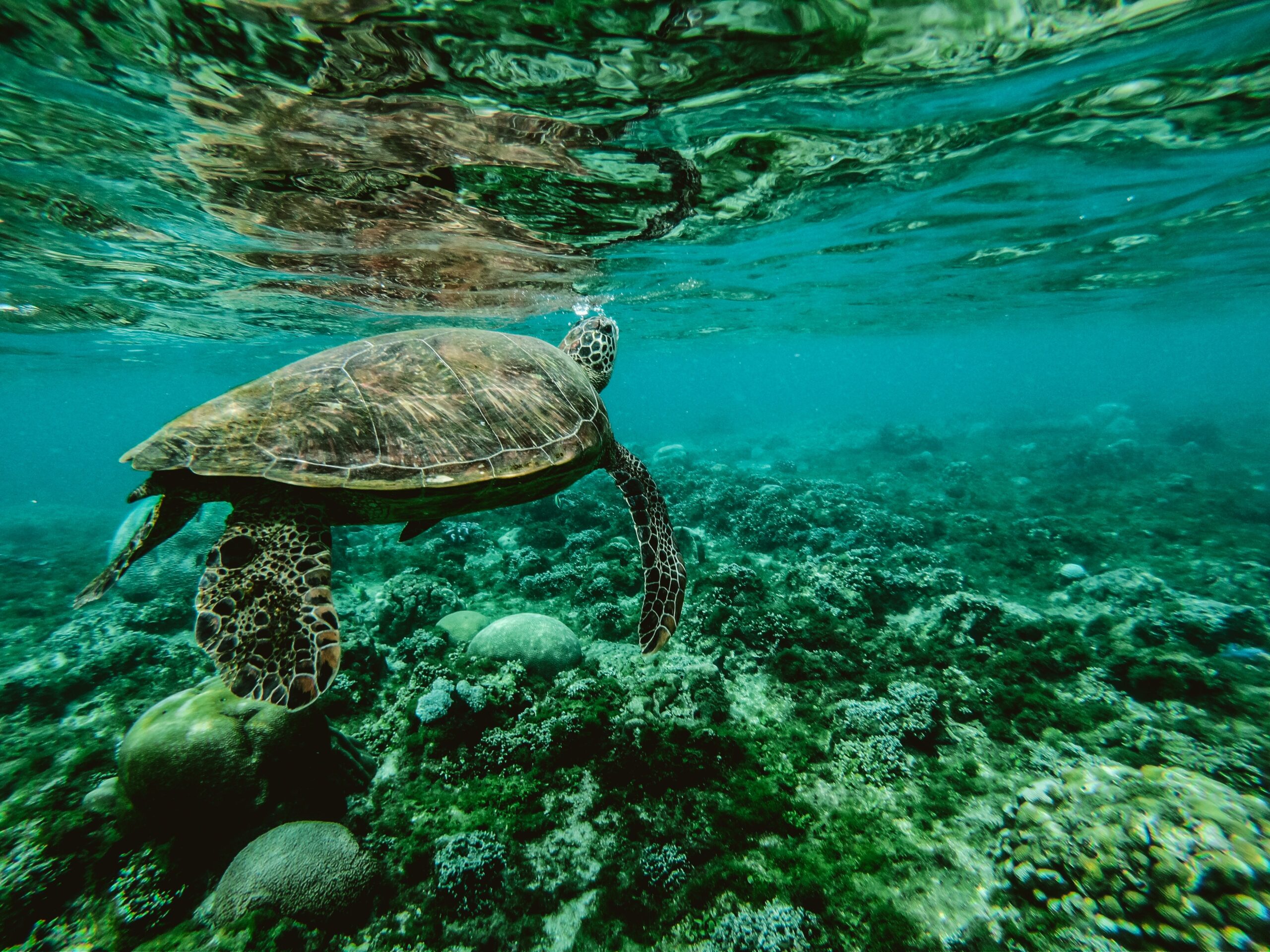 Ecotourism – Virgin Islands on a Budget