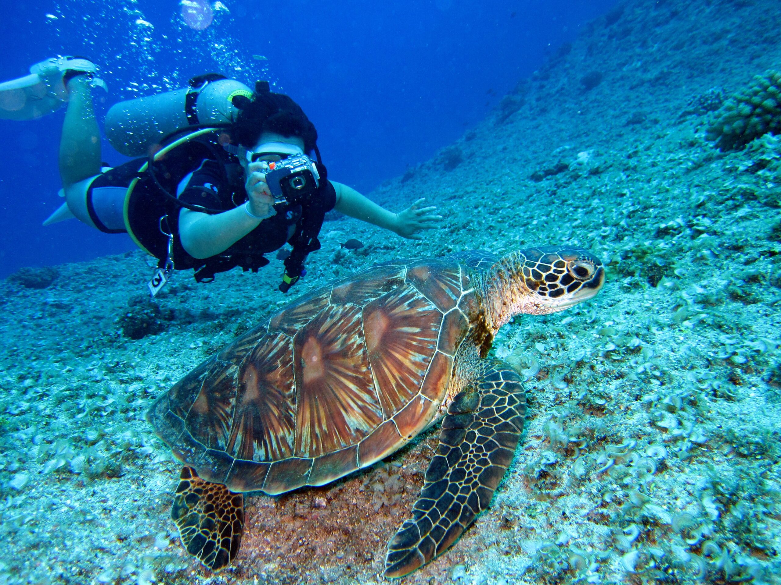 Top Spots for Snorkeling & Diving – Virgin Islands